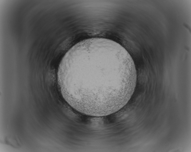 X0000097670085200803281022