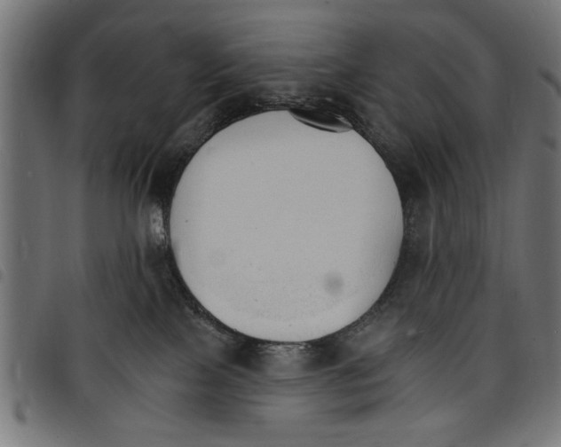 X0000097670089200803281022