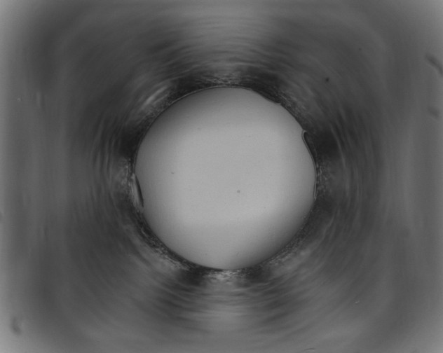 X0000097670092200803281022