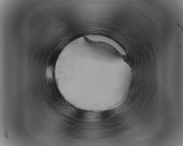 X0000097670094200803281022