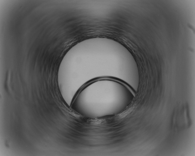 X0000097670096200803281022