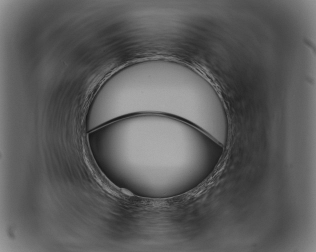 X0000097670097200803281021