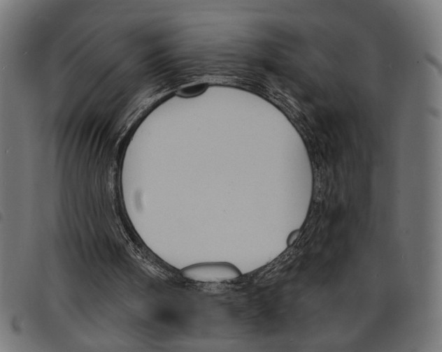 X0000097670098200803281021
