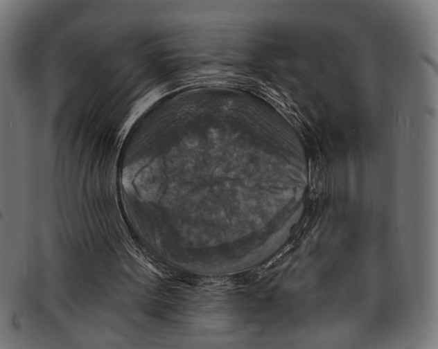 X0000097670099200803281021