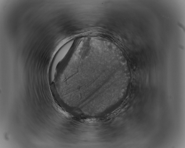 X0000097670100200803281021