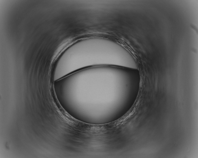 X0000097670101200803281021