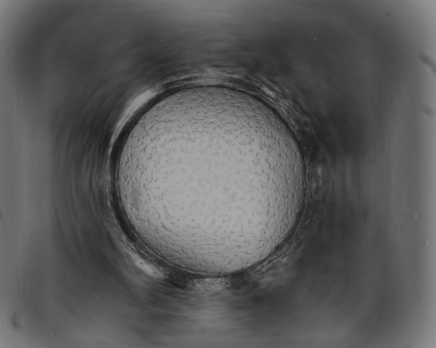 X0000097670102200803281021