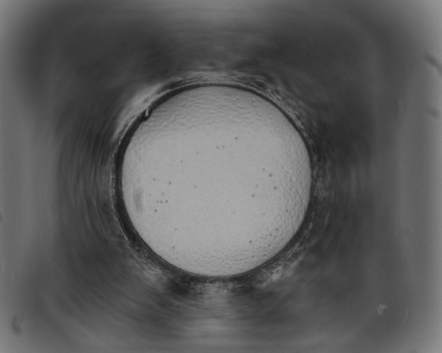X0000097670103200803281021