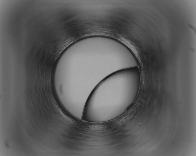 X0000097670105200803281021
