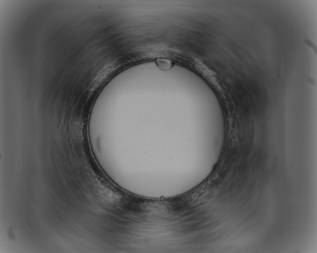 X0000097670106200803281021
