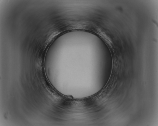 X0000097670107200803281021