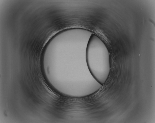 X0000097670108200803281021