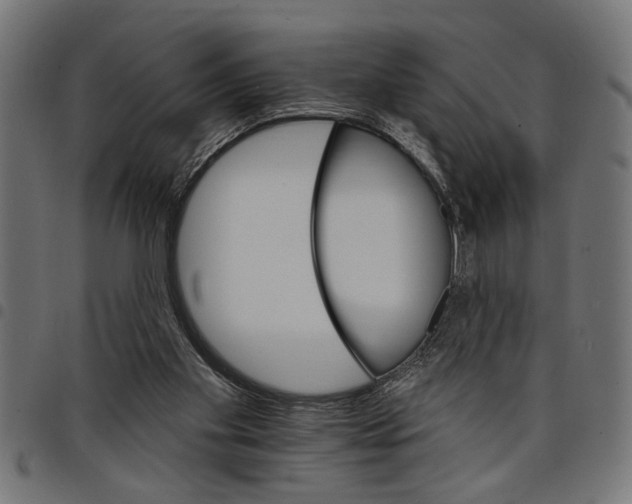 X0000097670109200803281021