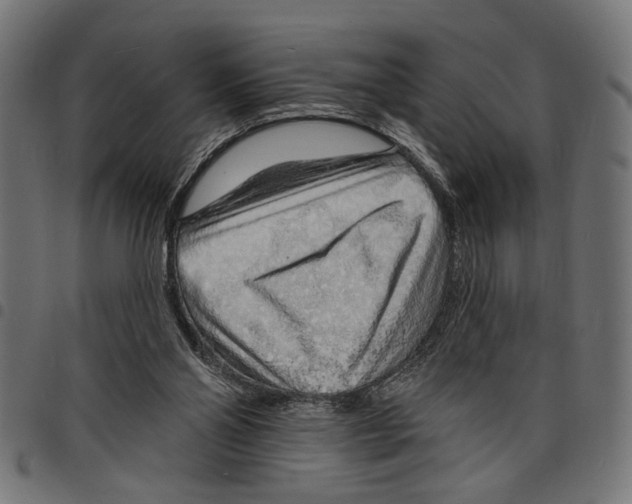 X0000097670110200803281021