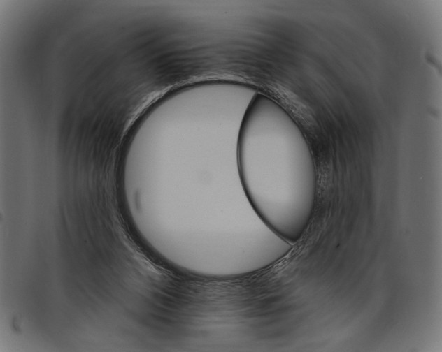 X0000097670112200803281021