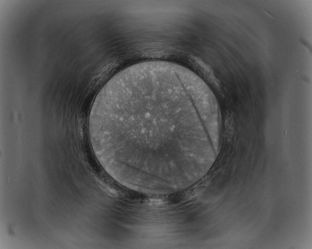 X0000097670114200803281021