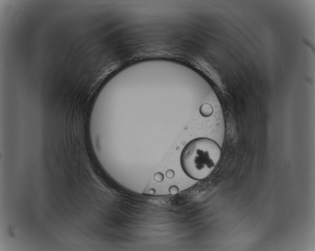 X0000097670115200803281021