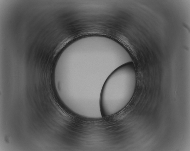 X0000097670116200803281021
