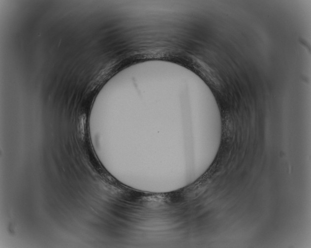 X0000097670118200803281021