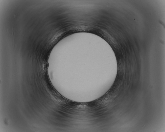 X0000097670119200803281021