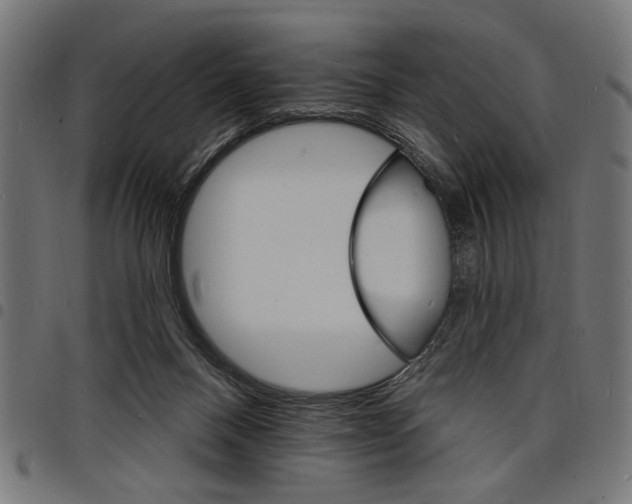 X0000097670120200803281021