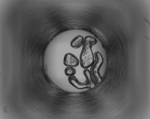 X0000097670121200803281021