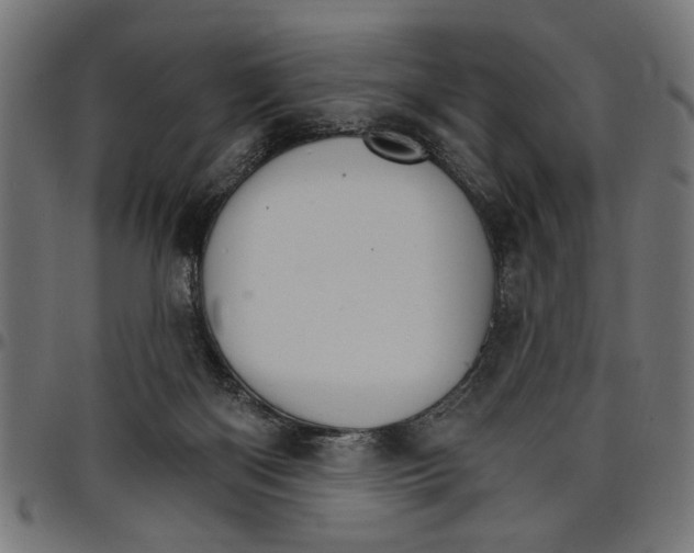 X0000097670122200803281021