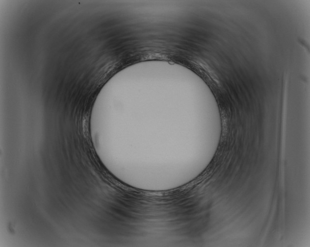 X0000097670123200803281021