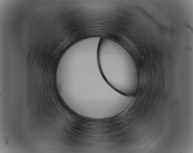 X0000097670124200803281021