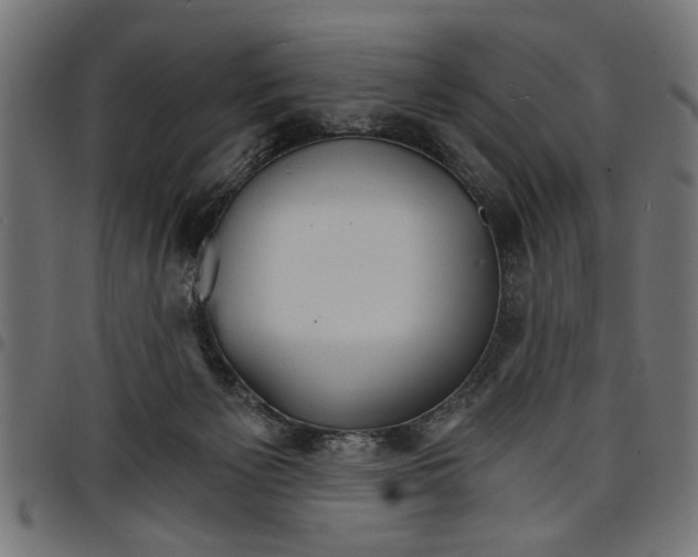 X0000097670125200803281021