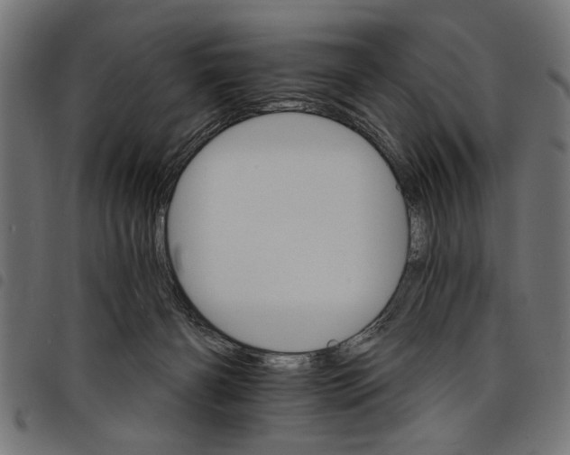 X0000097670126200803281021