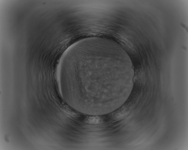X0000097670127200803281021