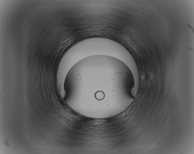 X0000097670128200803281021