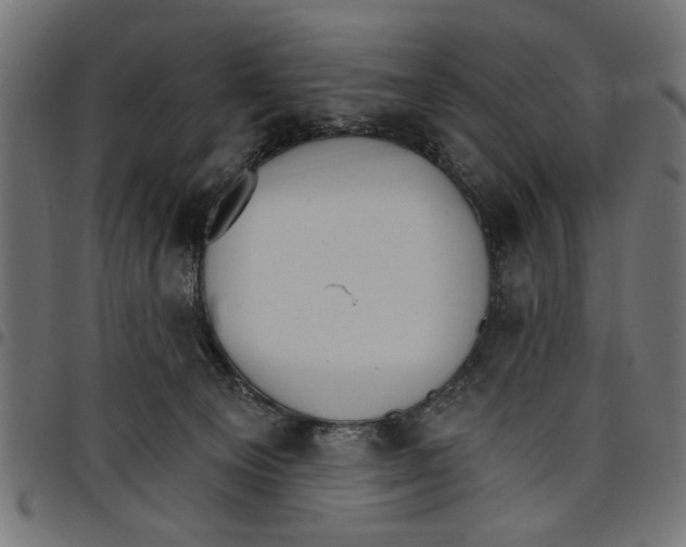 X0000097670129200803281021