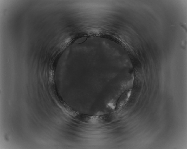 X0000097670130200803281021