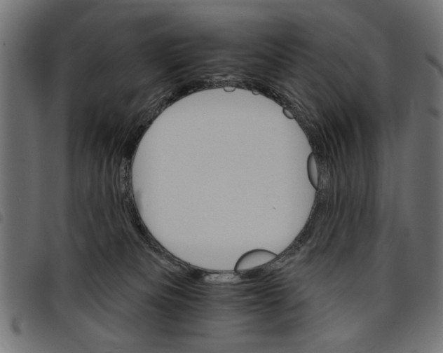 X0000097670133200803281021