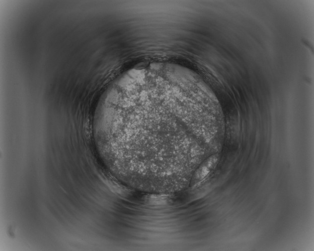 X0000097670134200803281021