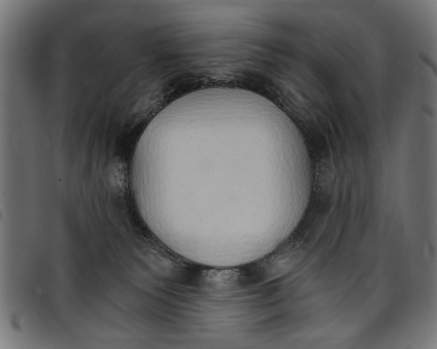 X0000097670135200803281021