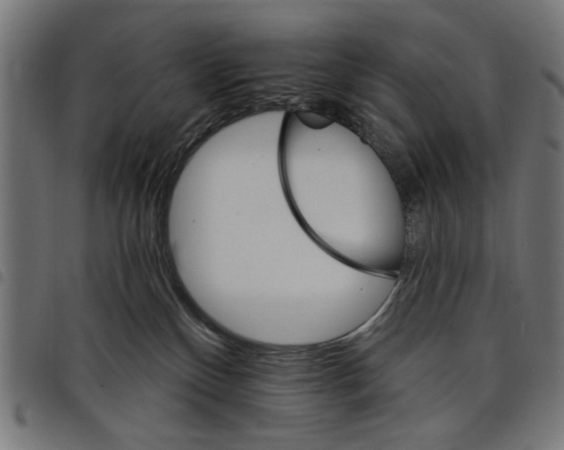 X0000097670136200803281021