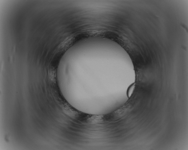 X0000097670138200803281021