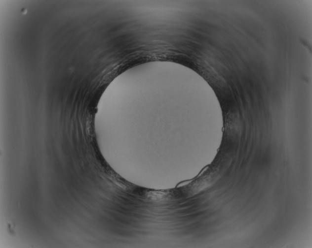 X0000097670139200803281021