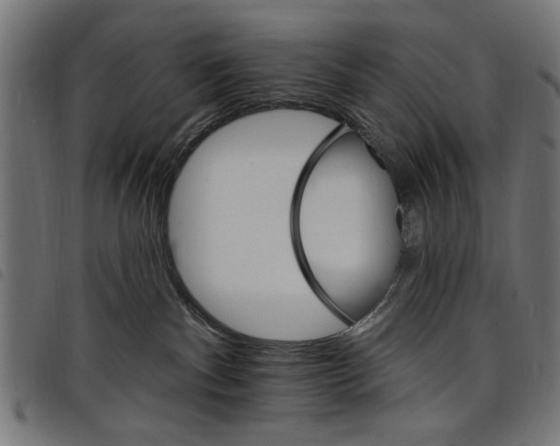 X0000097670140200803281021