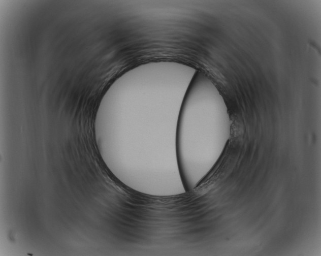 X0000097670141200803281021