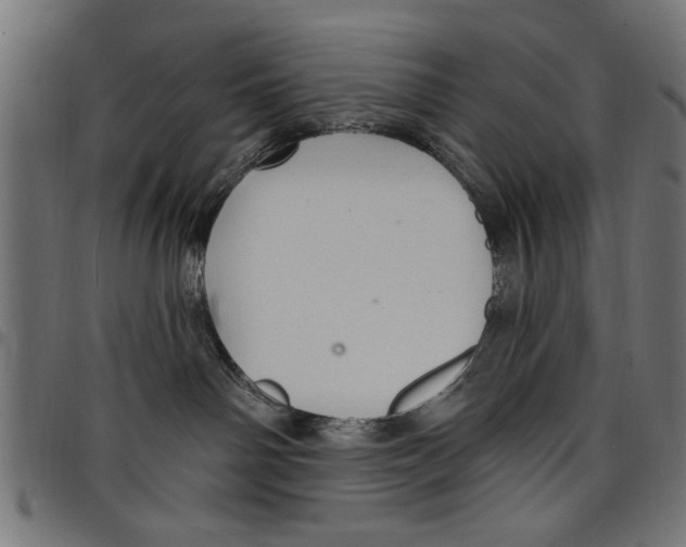 X0000097670142200803281021