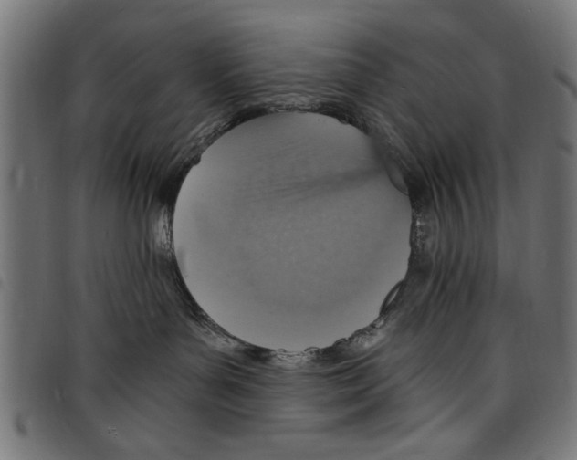 X0000097670143200803281021