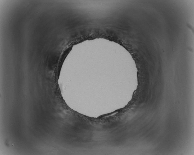 X0000097670144200803281021