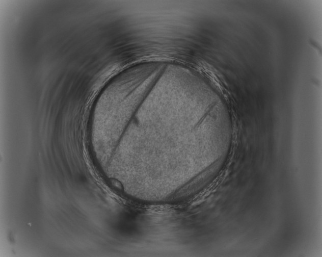X0000097670145200803281020