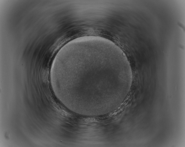 X0000097670146200803281020