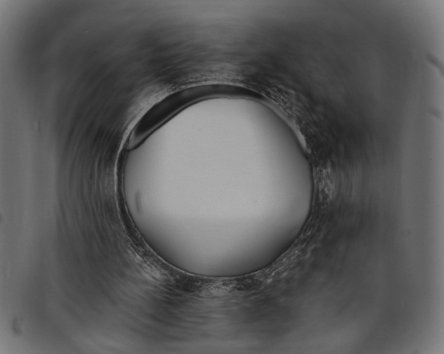 X0000097670148200803281020