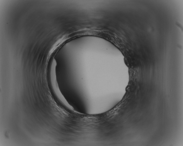 X0000097670150200803281020